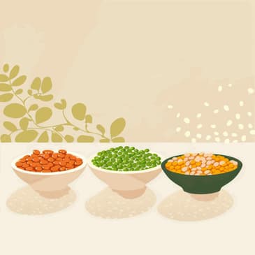 2588: Are Lectins Harmful?