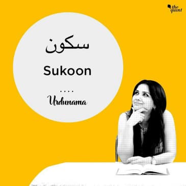 You Described Urdunama As ‘Sukoon’, That De-Stresses & Heals