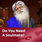 Love is in the air : Do You Need A Soulmate?