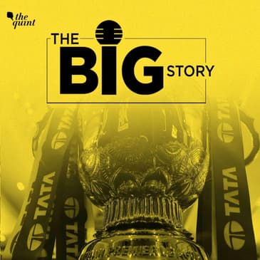 'Hoping for More': Fans Speak on MI, CSK, KKR Performance in IPL 2022