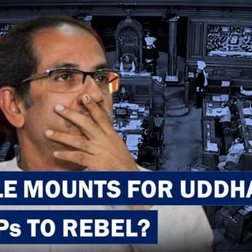 After MLAs, Uddhav Thackeray Fears Rebllion Among Shivsena Loksabha MPs| Eknath Shinde| Presidential