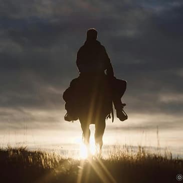 510: "Kin" (The Last of Us S1E6)