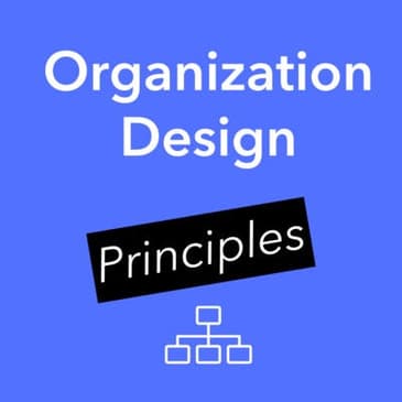 Principles of Organization Design