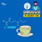 Nootropics: How L-Theanine Helped Me Cope With Anxiety
