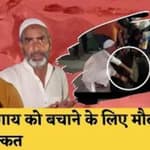 बेजुबान गाय को बचाने के लिए Maulana और Muslim युवकों ने की मसक्कत| Uttar Pradesh| Sambhal| CM Yogi