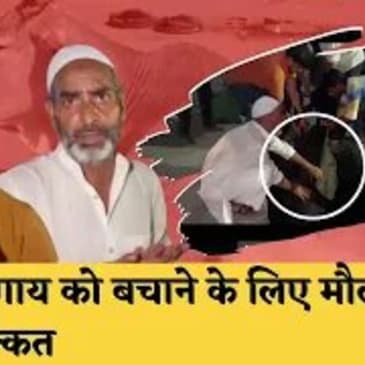 बेजुबान गाय को बचाने के लिए Maulana और Muslim युवकों ने की मसक्कत| Uttar Pradesh| Sambhal| CM Yogi