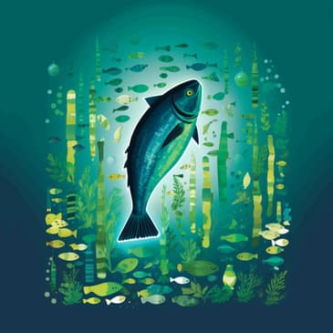 2457: Tiny and Mighty - Why The Sardine Is A True Superfood by Riley Pearce of Free Form Fitness