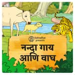 Nanda Cow