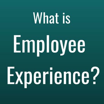What is the Employee Experience?