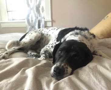 190: Jackie Hay, “A Little Fight in Me”