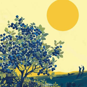 2515: Are Blueberries a Superfood? by Beth Rush of EllyMcGuinness.com on Nutritional Value & Benefits