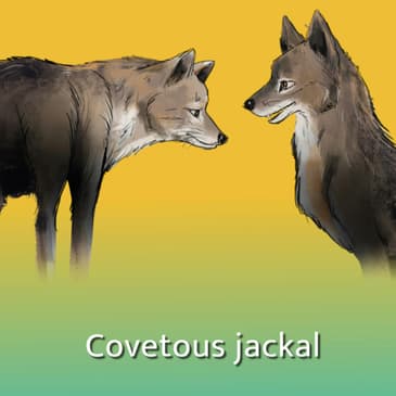 Covetous jackal
