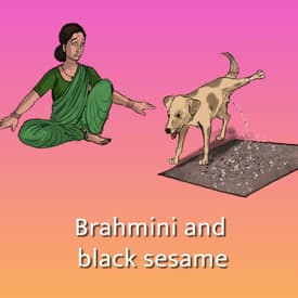 Brahmini and black sesame