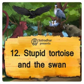 Stupid tortoise and the swasn
