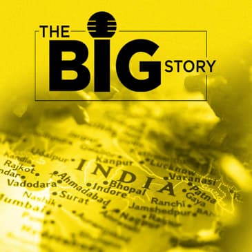 COVID-19: Is India Entering the Endemic Stage?