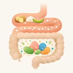 3328: Resistant Starch - The Things You Need to Know by Aidan Muir of Ideal Nutrition on Gut Health Nutrition