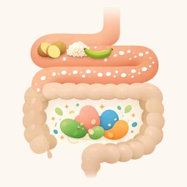 3328: Resistant Starch - The Things You Need to Know by Aidan Muir of Ideal Nutrition on Gut Health Nutrition