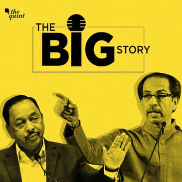 Why is Shiv Sena Agitated Over Narayan Rane's Remark on Thackeray?