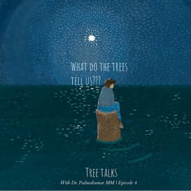 Tree talks