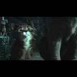 11: “A Dream of a Thousand Cats/Calliope” (S1E11)