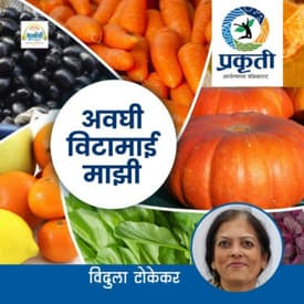 जीवनसत्त्वे आणि खनिजे Vitamins and Minerals