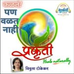 कळतं पण वळत नाही!