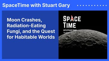 Moon Crashes, Radiation-Eating Fungi, and the Quest for Habitable Worlds