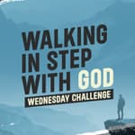 Wednesday Challenge - Use Discernment in Faith