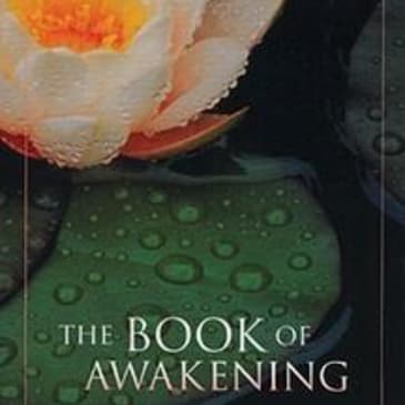 The Book of Awakening: Insights for Living Fully Today