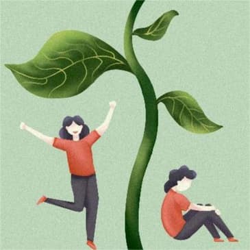 12 Rules for Life: Unpacking Jordan Peterson's Insights