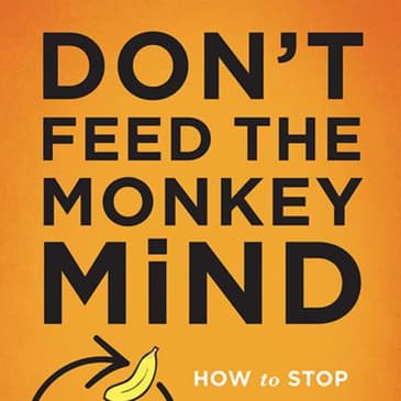 Don't Feed the Monkey Mind: Engaging Audio Summary for Mental Clarity and Resilience