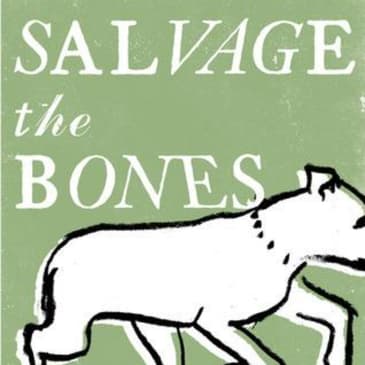 Salvage the Bones: An Engaging Audio Summary of Jesmyn Ward's Masterpiece
