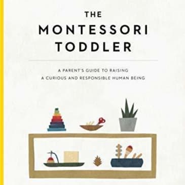 The Montessori Toddler: Key Insights for Nurturing Independence
