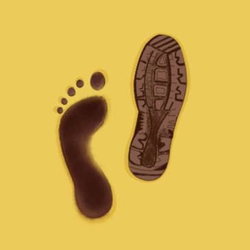 Exploring Evolutionary History: The Story of the Human Body