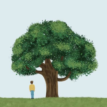 Unveiling the Philosophical Insights from Arthur Schopenhauer's Masterpiece