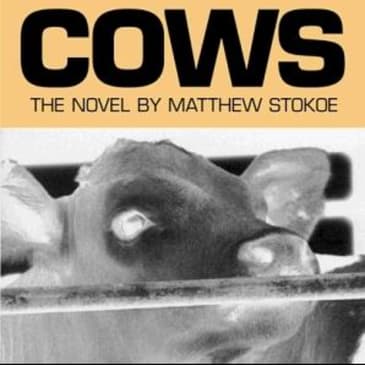 Cows: An Engaging Audio Summary of Matthew Stokoe's Provocative Novel