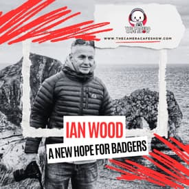 "Ian Wood: A New Hope for Badgers"