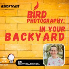 “Melody Mellinger: Bird Photography in Your Backyard”