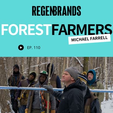 #110 - Michael Farrell @ The Forest Farmers - Forest Farming The Most Regenerative Sweetener On Earth