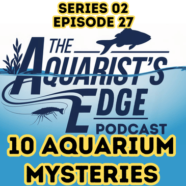 Solving 10 Mysteries That Baffle Fishkeepers