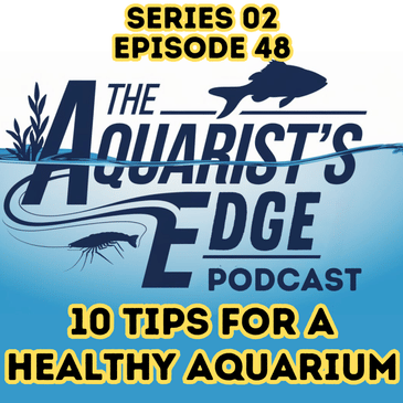 10 Tips For A Healthy Freshwater Aquarium