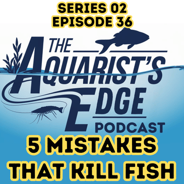 5 Beginner Mistakes That Kill Fish