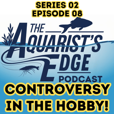 5 Controversies In The Aquarium-Keeping Hobby