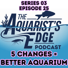 5 Simple Changes For A Healthier Freshwater Aquarium