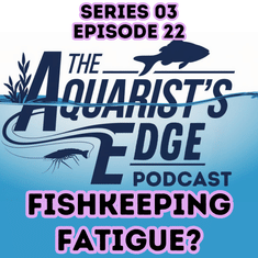 Aquarium Burnout Is Real - How To Recover Without Quitting Fishkeeping