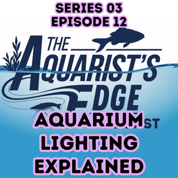 Aquarium Lighting Explained: PAR, Spectrum, Algae & How to Choose the Right Fish Tank Light