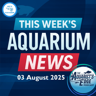 Aquarium News Of The Week - 03 August 2025