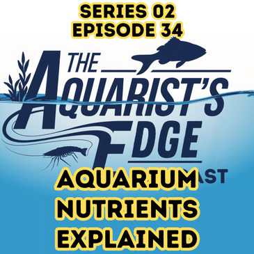 Aquarium Nutrients Explained: Feeding, Algae, Plant Health & Dosing Tips