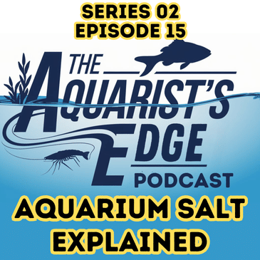 Aquarium Salt Explained - Hidden Benefits, Dangerous Myths, How To Use It Safely
