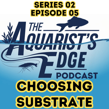 What's On Your Bottom? Choosing A Substrate For Your Aquarium